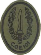 Emblema COE 101 faena